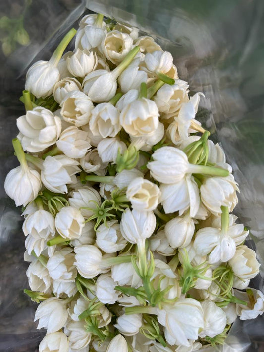 Jasmine flowers/ Mallepoolu